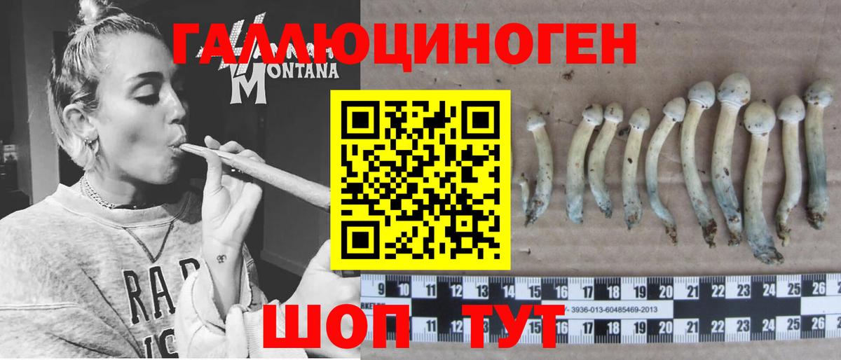 как найти закладки  Вход с VPN  Пыть-Ях  Галлюциногенные грибы прущие грибы 