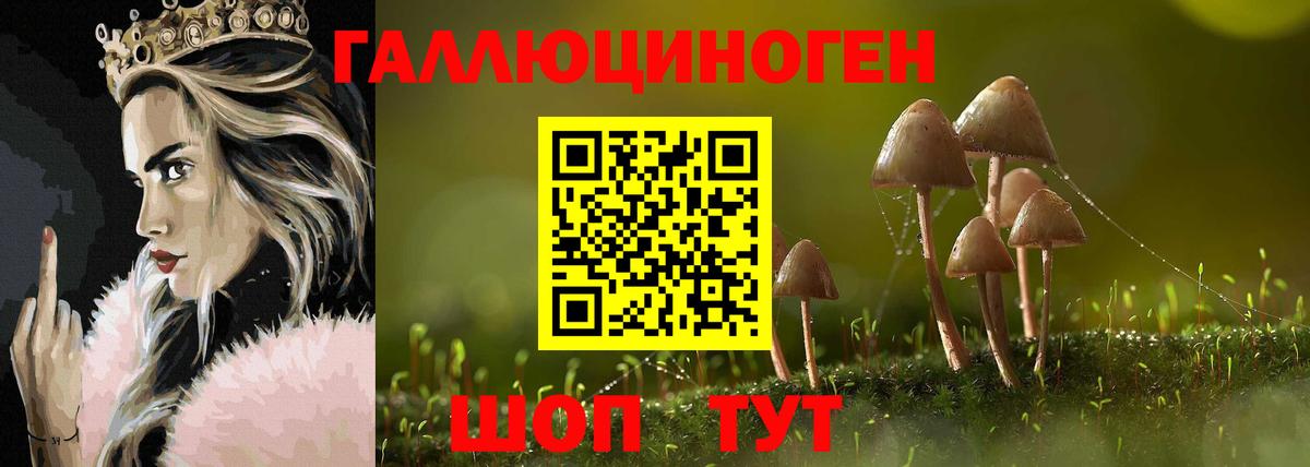 Псилоцибиновые грибы Psilocybine cubensis Пыть-Ях